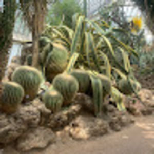 Meet your Posher, Laila